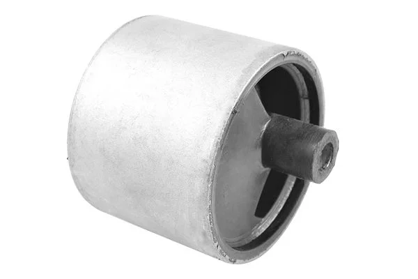 Variklio montavimas TEDGUM 00467995