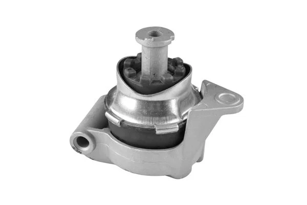 Variklio montavimas TEDGUM 00504625