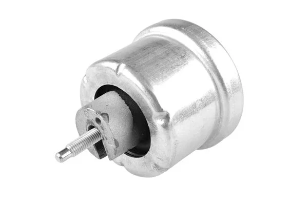 Variklio montavimas TEDGUM 00504642