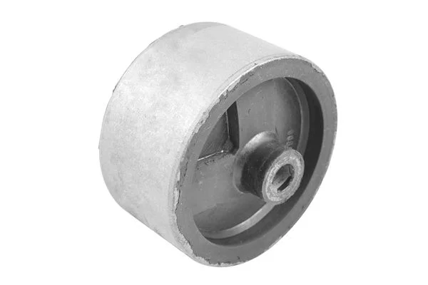 Variklio montavimas TEDGUM 00505605