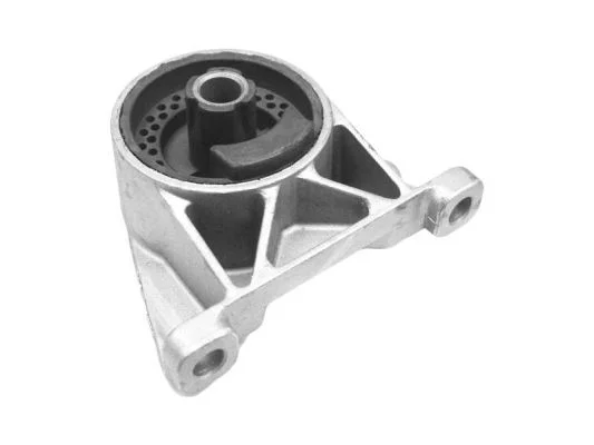 Variklio montavimas TEDGUM 00509064