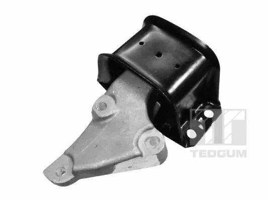 Variklio montavimas TEDGUM 00516309
