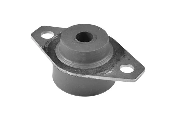 Variklio montavimas TEDGUM 00606725