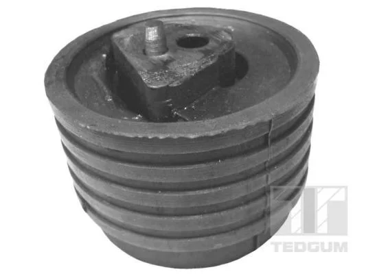 Variklio montavimas TEDGUM 00614322