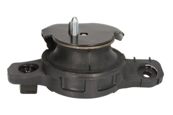 Variklio montavimas TEDGUM 00649871