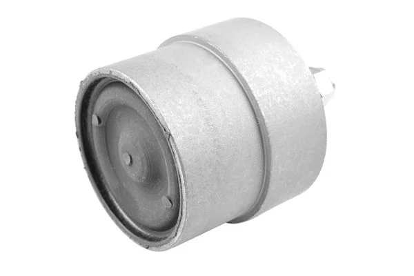 Variklio montavimas TEDGUM 00650278