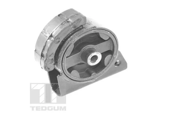 Variklio montavimas TEDGUM 00671816