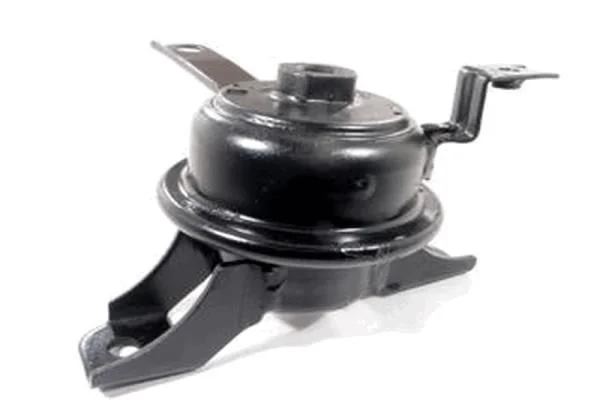 Variklio montavimas TEDGUM 00672223