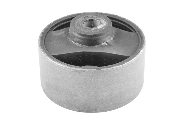 Variklio montavimas TEDGUM 00673056