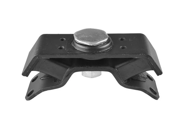 Variklio montavimas TEDGUM 00674734