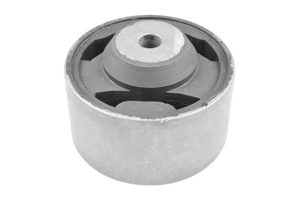 Variklio montavimas TEDGUM 00674800