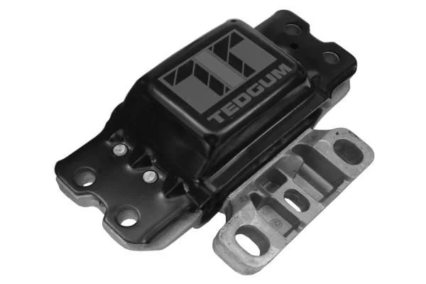 Montavimas, neautomatinės transmisijos atrama TEDGUM 00722490