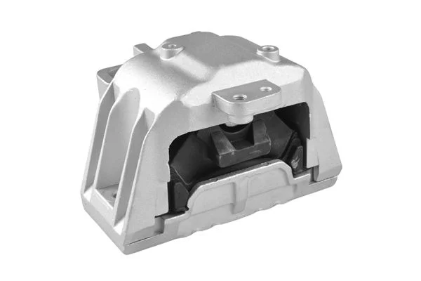 Variklio montavimas TEDGUM 00725548