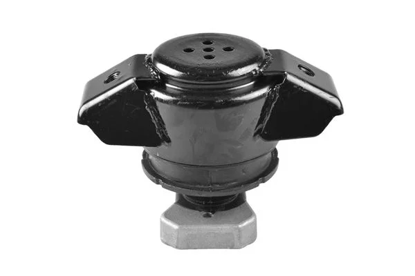 Variklio montavimas TEDGUM 00725583