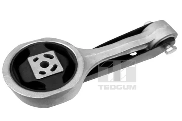 Variklio montavimas TEDGUM 00726711