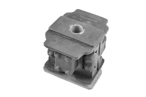 Variklio montavimas TEDGUM 00740831
