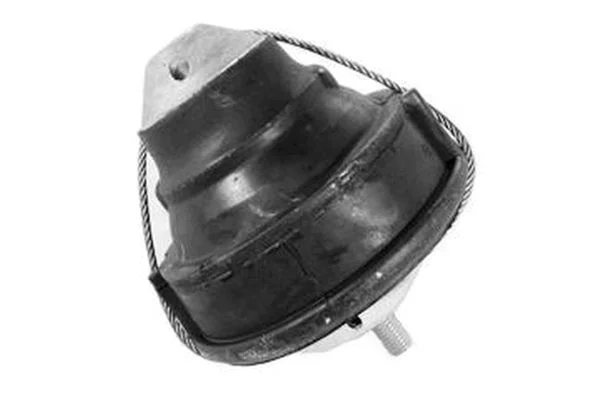 Variklio montavimas TEDGUM 00742250