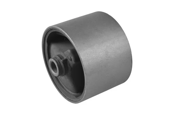 Variklio montavimas TEDGUM 00742743
