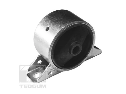 Variklio montavimas TEDGUM 00747139