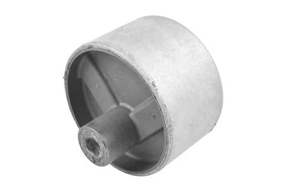 Variklio montavimas TEDGUM 00747819