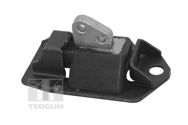Variklio montavimas TEDGUM 00748055