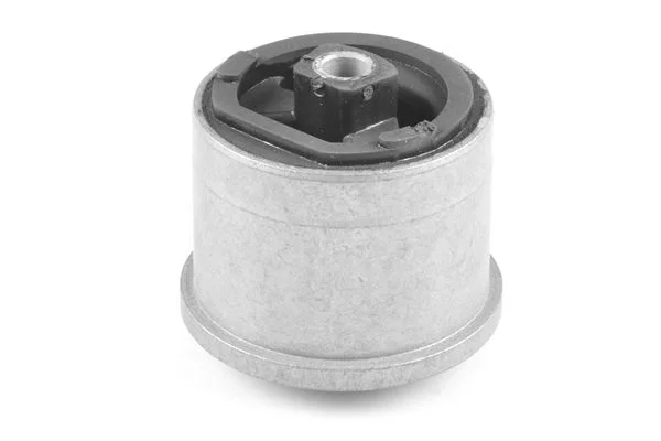 Variklio montavimas tedgum 00749483