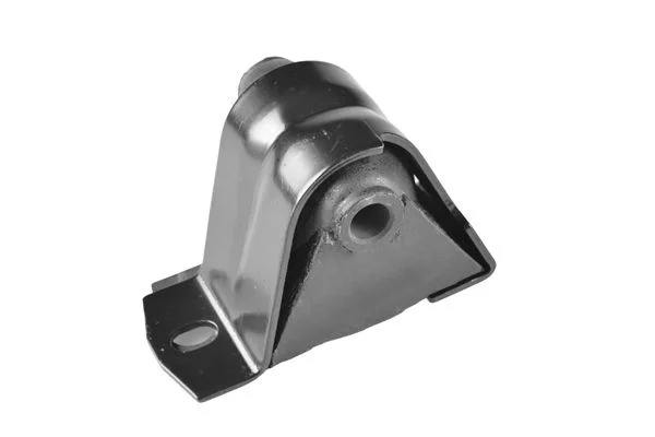 Variklio montavimas TEDGUM 01140836