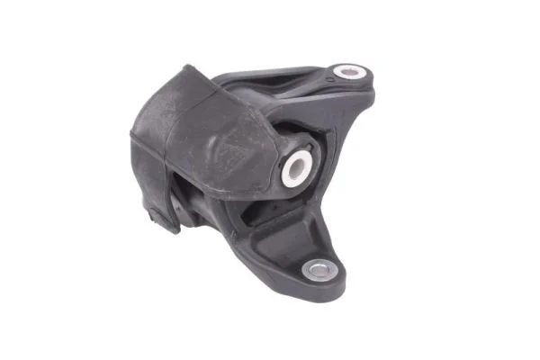 Variklio montavimas TEDGUM TED10631