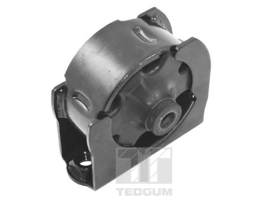Variklio montavimas TEDGUM TED10739