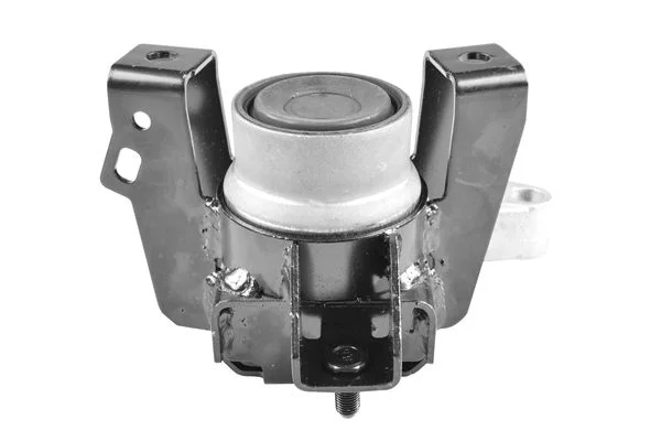 Variklio montavimas TEDGUM TED11486
