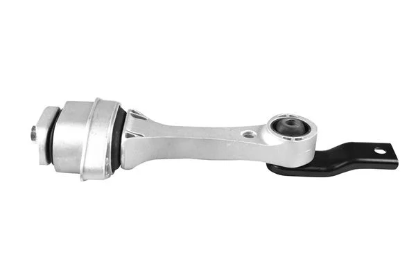 Variklio montavimas TEDGUM TED11817
