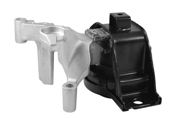 Variklio montavimas TEDGUM TED12511