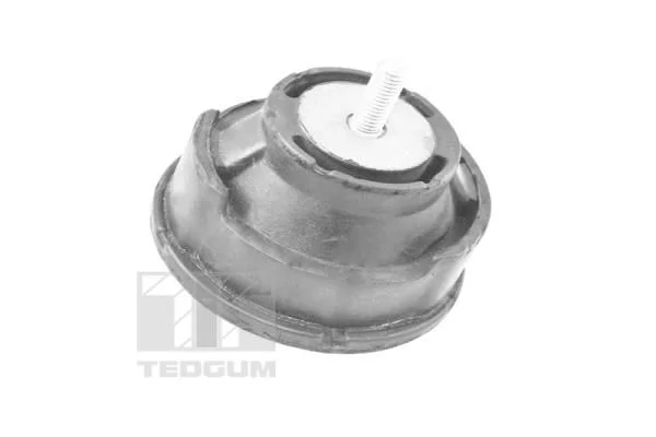 Variklio montavimas TEDGUM TED12723