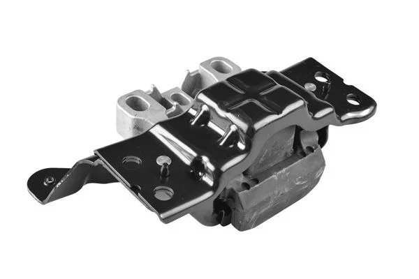Variklio montavimas TEDGUM TED14781