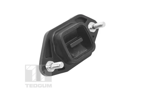 Variklio montavimas TEDGUM TED14845