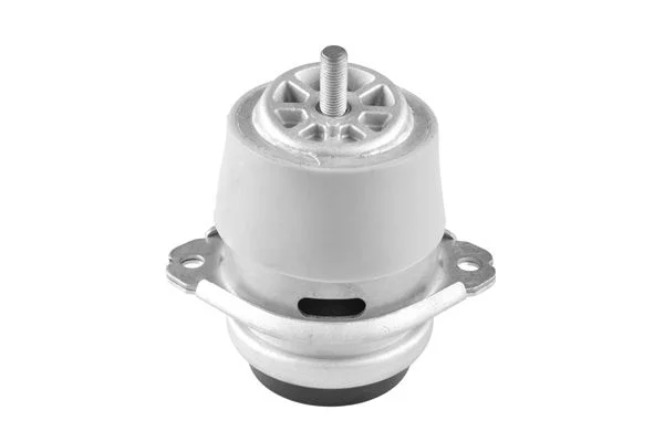 Variklio montavimas TEDGUM TED15116