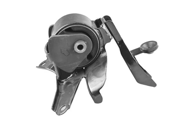 Variklio montavimas TEDGUM TED16103