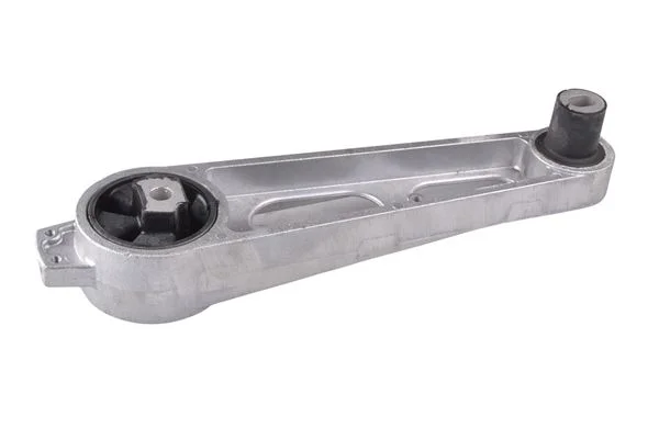 Variklio montavimas TEDGUM TED19070
