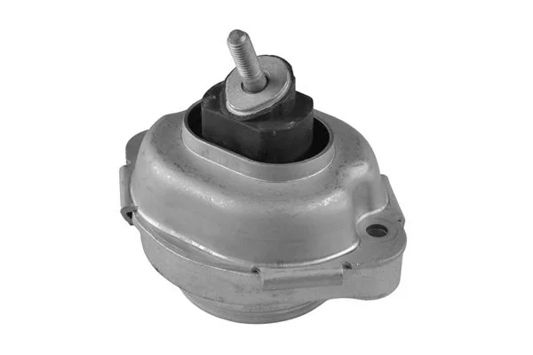 Variklio montavimas TEDGUM TED21220