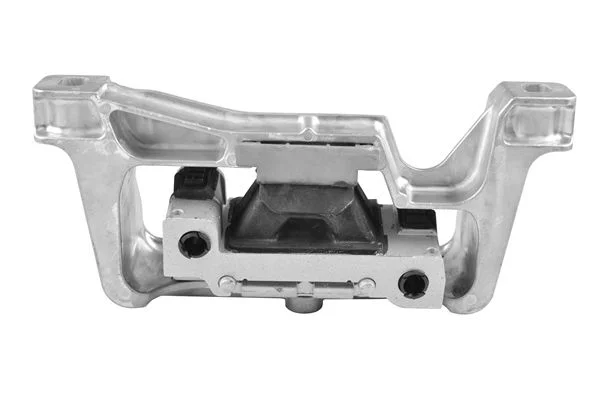 Variklio montavimas TEDGUM TED21373