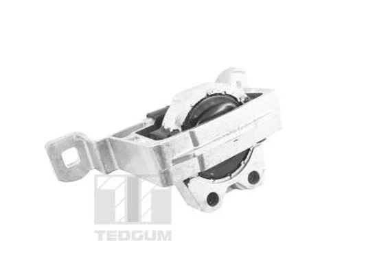 Variklio montavimas TEDGUM TED24027