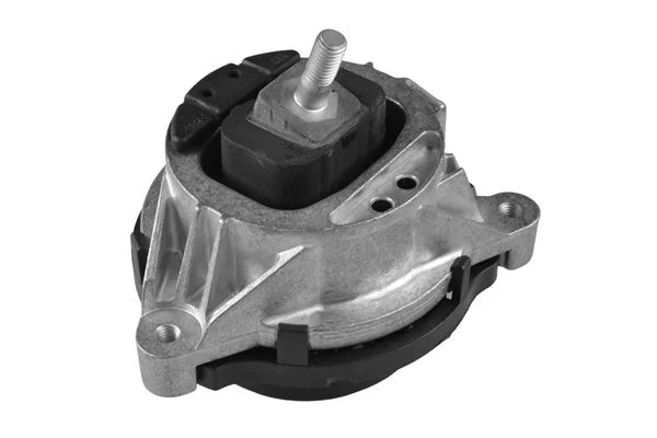 Variklio montavimas TEDGUM TED24378