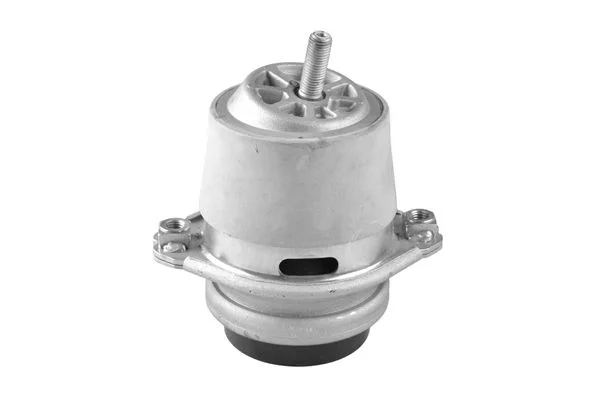 Variklio montavimas TEDGUM TED25233