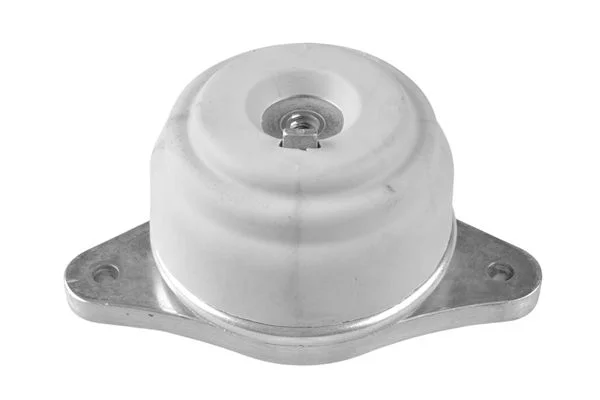Variklio montavimas TEDGUM TED25563