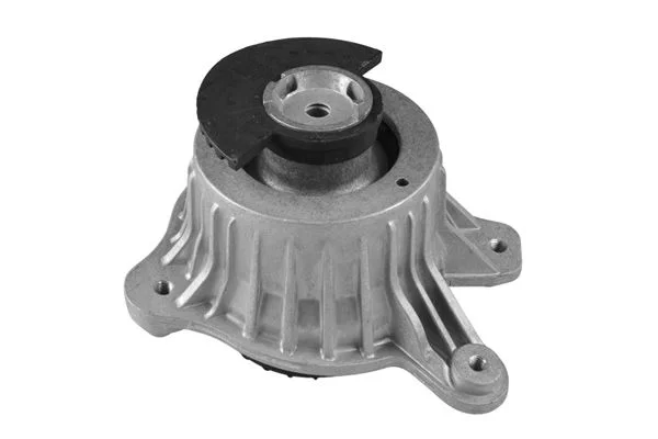 Variklio montavimas TEDGUM TED25884