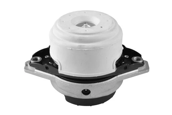 Variklio montavimas TEDGUM TED26583