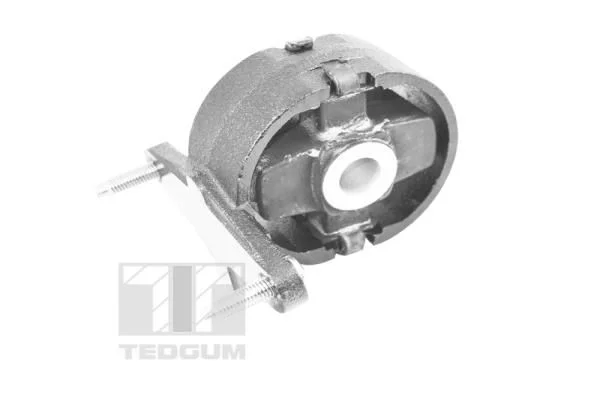 Variklio montavimas TEDGUM TED26769