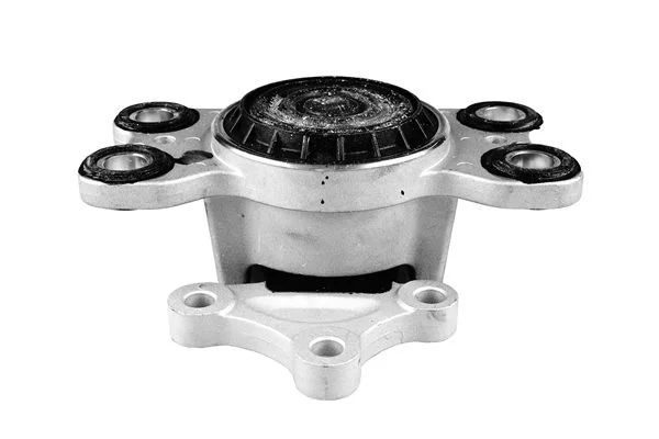 Variklio montavimas TEDGUM TED32739