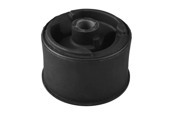Variklio montavimas TEDGUM TED33951