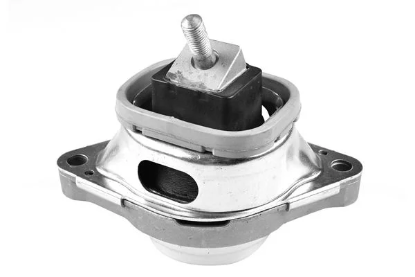 Variklio montavimas TEDGUM TED35377